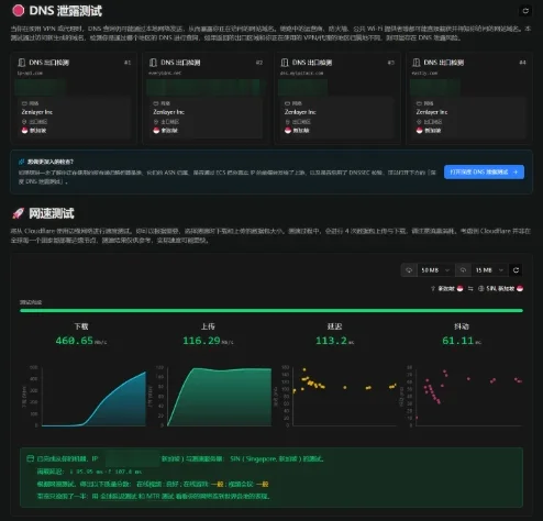 IPCheck.ing DNS 泄露检测与 Cloudflare 网速测试结果